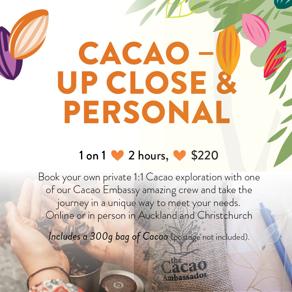 Cacao 1:1 – The Cacao Embassy NZ