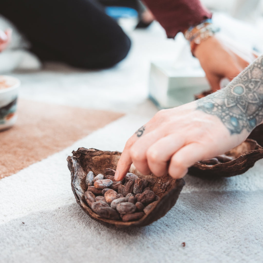 Person holding a shell filled with cacao beans on a textured surface