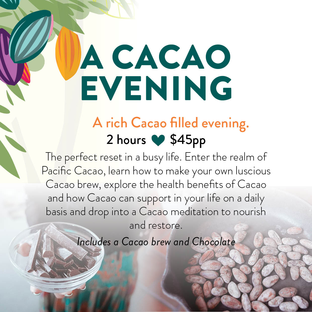 Cacao Evening’s - The Cacao Embassy Christchurch