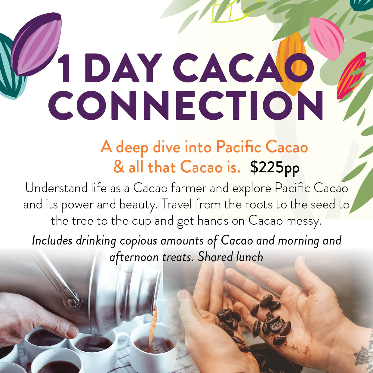 Cacao Connection 1 day Auckland