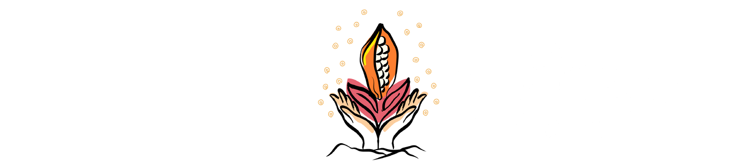 The Cacao Embassy NZ