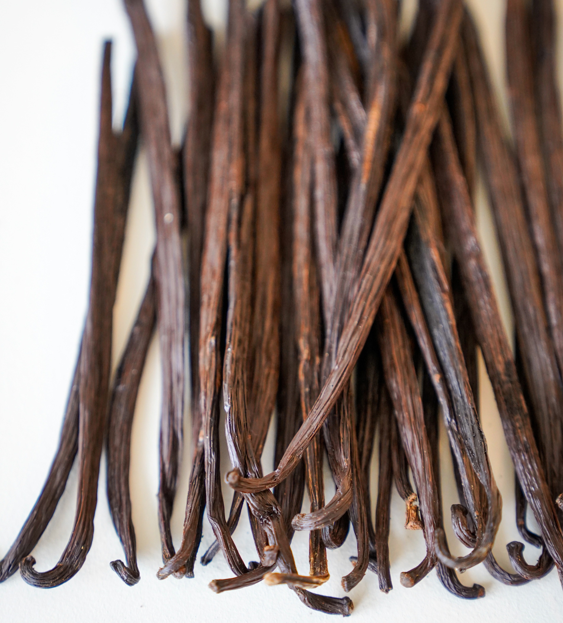 4 pack of Vanilla Beans