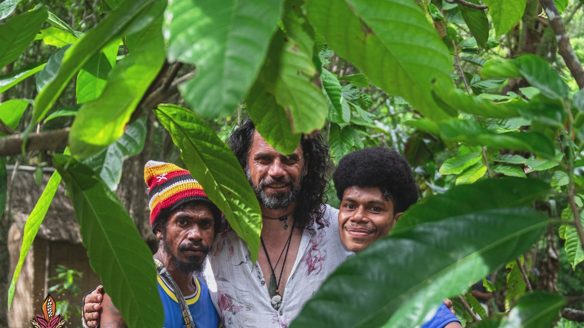 The Cacao Embassy – The Cacao Embassy NZ